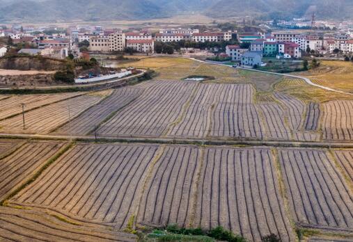 大连土地发包，推动农业现代化与经济发展的关键步骤