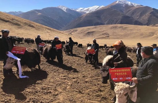 果洛土地发包，地方经济新动力源泉