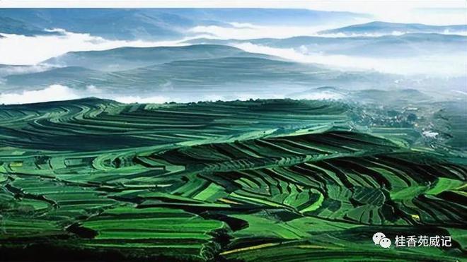 固原土地出售，机遇与挑战的交汇点