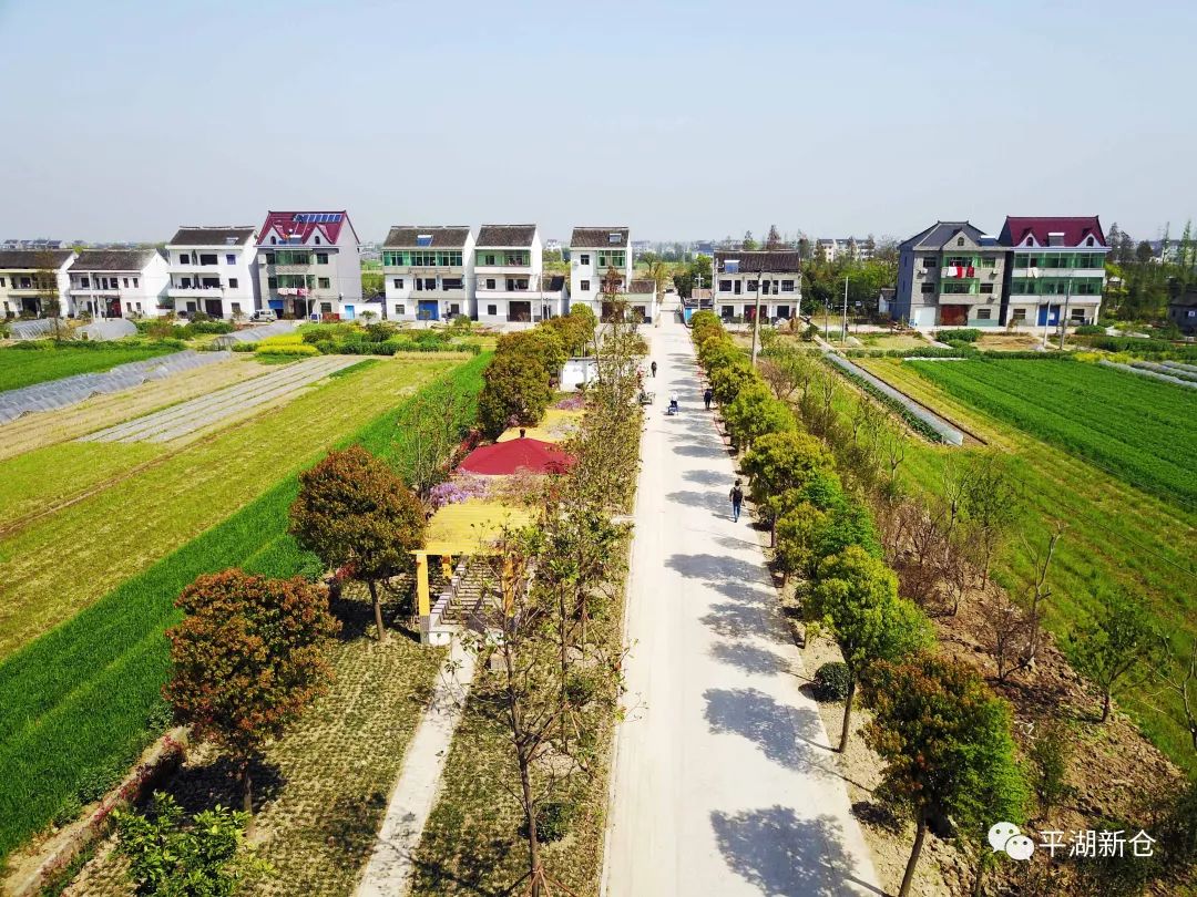 邯郸土地发包，农业现代化与乡村振兴的新引擎