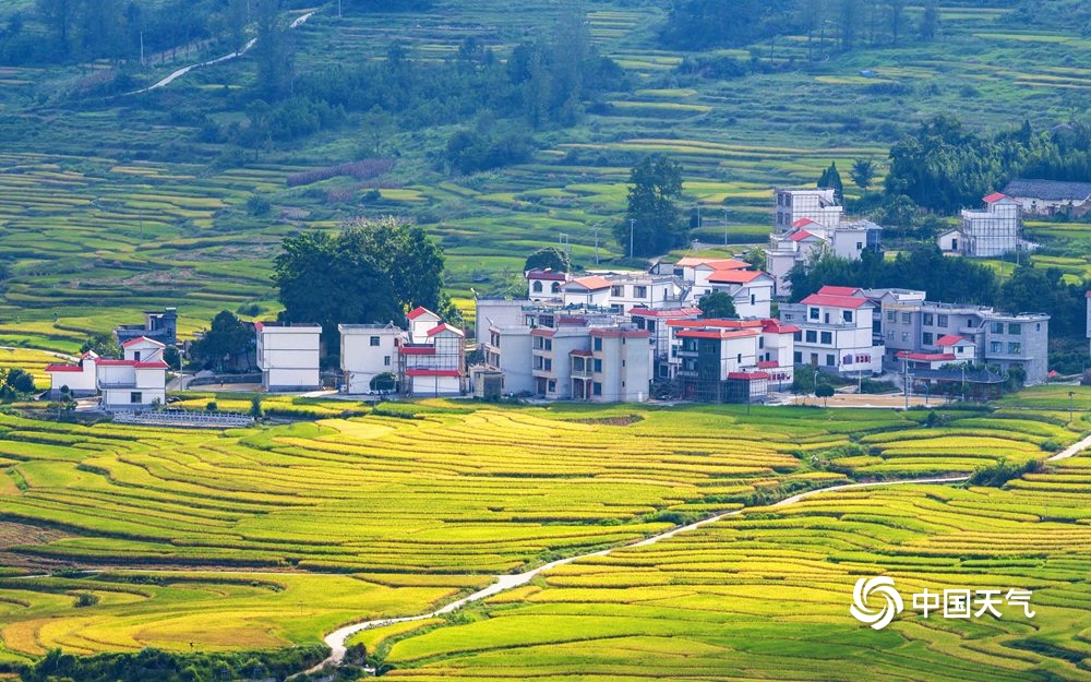 河池土地转让，机遇与挑战的并存