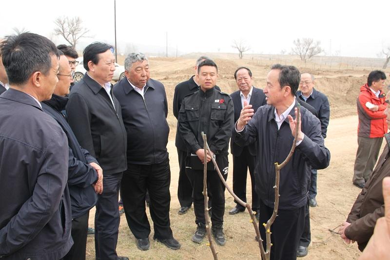 呼伦贝尔土地流转，农业现代化与乡村振兴的新引擎