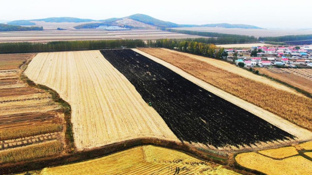 黑龙江地皮，历史沿革、现状瞭望与未来展望