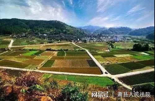 吉安土地发包，农业现代化与地方经济双赢策略推进